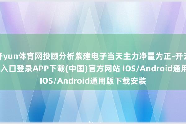 开yun体育网投顾分析紫建电子当天主力净量为正-开云kaiyun登录入口登录APP下载(中国)官方网站 IOS/Android通用版下载安装