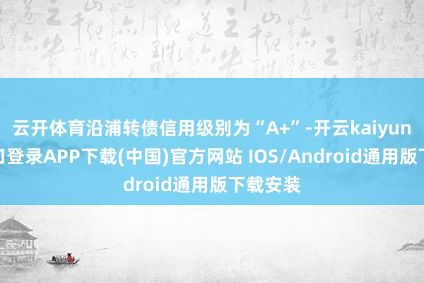 云开体育沿浦转债信用级别为“A+”-开云kaiyun登录入口登录APP下载(中国)官方网站 IOS/Android通用版下载安装
