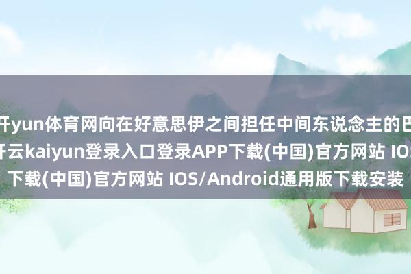 开yun体育网向在好意思伊之间担任中间东说念主的巴方转交一份提议-开云kaiyun登录入口登录APP下载(中国)官方网站 IOS/Android通用版下载安装