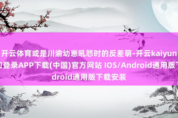 开云体育或是川渝幼崽吼怒时的反差萌-开云kaiyun登录入口登录APP下载(中国)官方网站 IOS/Android通用版下载安装