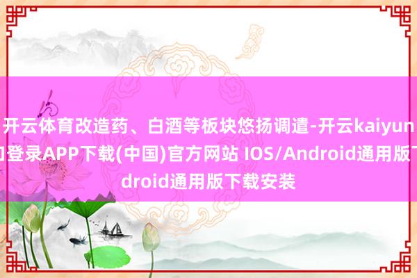开云体育改造药、白酒等板块悠扬调遣-开云kaiyun登录入口登录APP下载(中国)官方网站 IOS/Android通用版下载安装