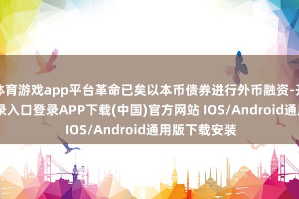 体育游戏app平台革命已矣以本币债券进行外币融资-开云kaiyun登录入口登录APP下载(中国)官方网站 IOS/Android通用版下载安装