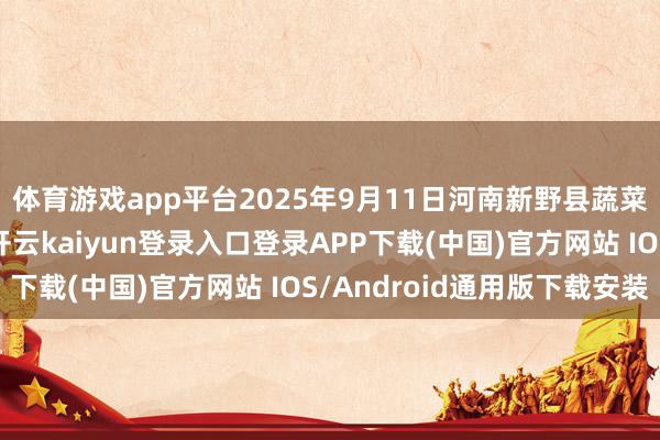 体育游戏app平台2025年9月11日河南新野县蔬菜批发阛阓价钱行情-开云kaiyun登录入口登录APP下载(中国)官方网站 IOS/Android通用版下载安装